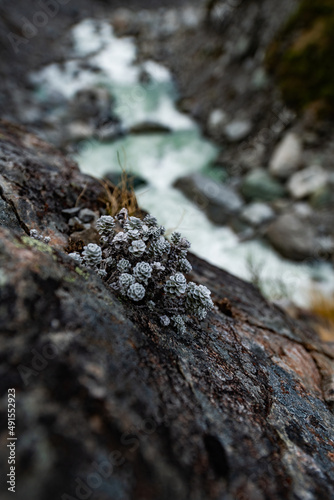 Mountain scenery in New Zealand