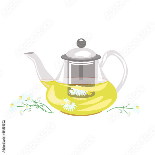 Glass teapot with chamomile tea and chamomile flowers isolated on a white background.Vector flat illustration.