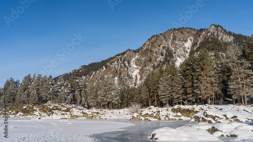 A picturesque mountain against a blue sky. Coniferous forest grows in the valley. In the foreground is a frozen river, snow-covered boulders. Altai