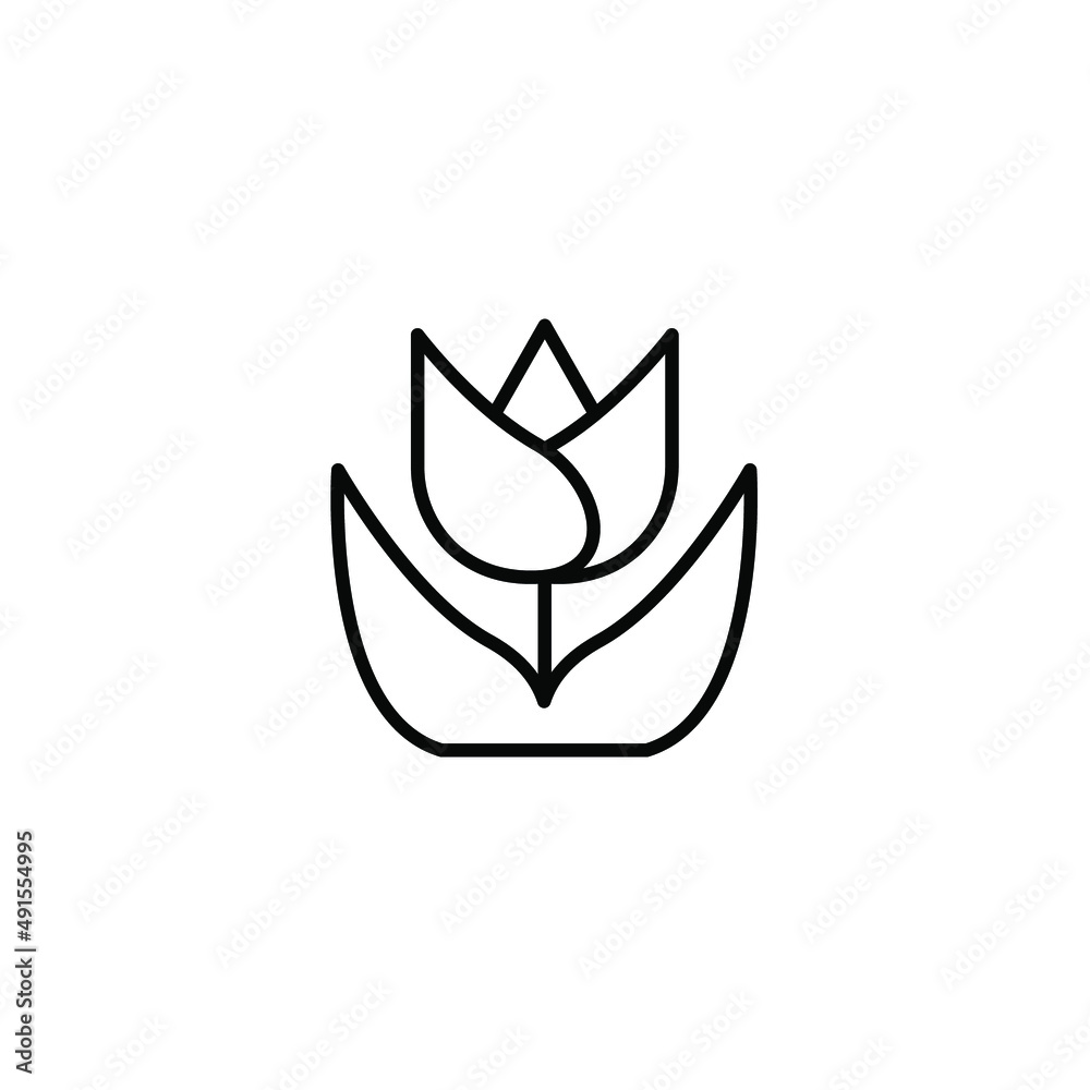 macro photography icons  symbol vector elements for infographic web