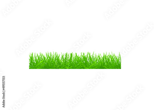 Green grass border set on transparent background. Vector Illustration