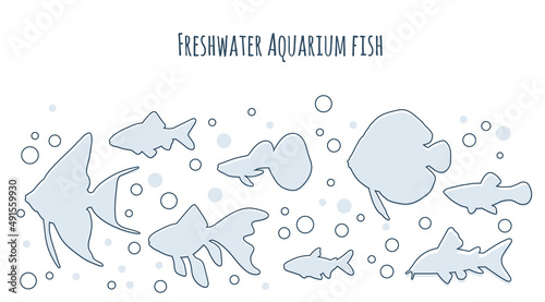Aquarium fish border line art style. Design element,vector flat illustration