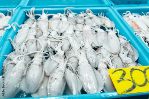 Fresh squid in trays for sale in the fish market