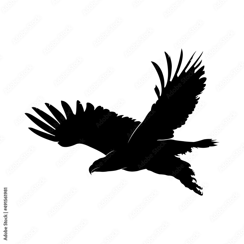 Fototapeta premium Flying eagle vector silhouette on white background