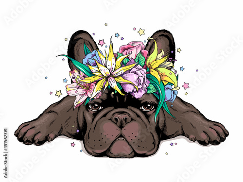 Cute cartoon french bulldog puppy in a floral wreath. Beautiful  animal with flowers. Stylish summer image for printing on any surface