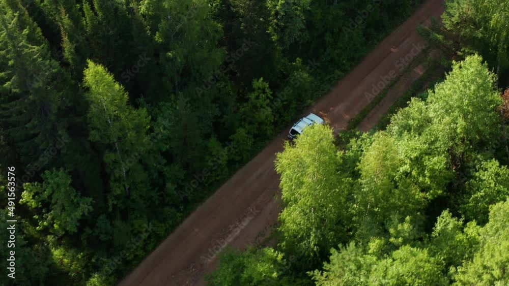Travelers drive a car in the forest Travelers drive a car in the forest