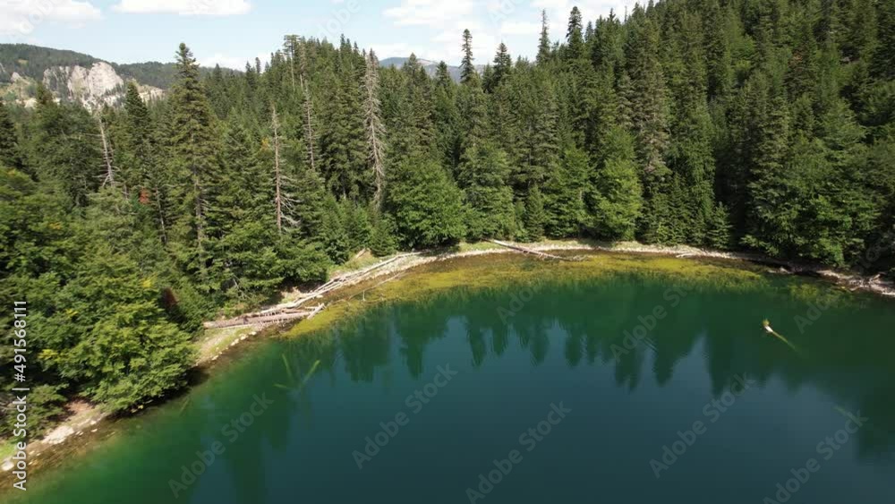 Aerial view of mountain lake surrounded by dense coniferous and beech forest. Montenegro, Europe. In Montenegro they call him Zabojsko Jezero and has an elevation of 1481 metres