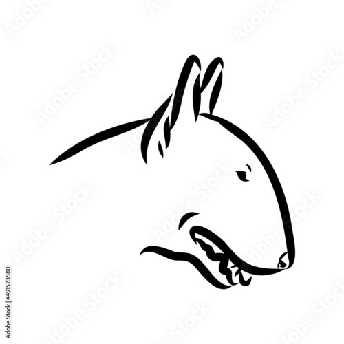 Bull terrier, bull terrier funny face, black and white vector illustration