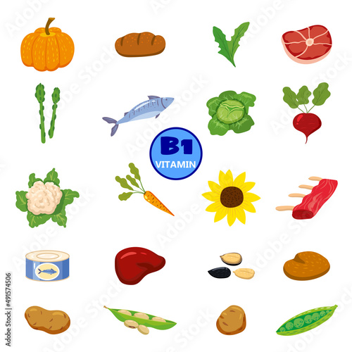 Set of Vitamin B origin natural sources. Healthy diary food, thiamin, fruits, greens, vegetables, fish, nuts, meat, bread. Organic diet products, natural nutrition collection. Vector flat