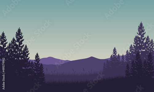 Panoramic silhouette of mountains with beautiful pine trees from the edge of the forest