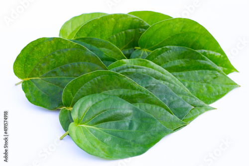 Obraz na plátně Green betel leaves, Fresh piper betle on white background