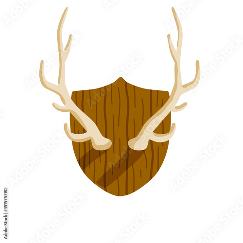 Horn of deer. Hunting trophy. Wall decoration element. Part of the stag animal head