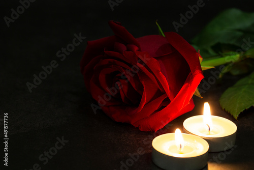 Fototapeta Naklejka Na Ścianę i Meble -  One red rose of roses with candles on a dark background. Dramatic mystical atmosphere of the ritual of black magic. The concept of grief and mourning postcards.