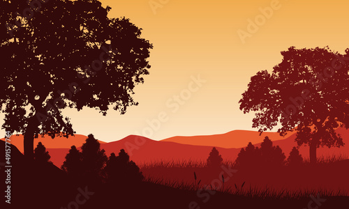 An stunning mountain view from the edge of the forest with silhouettes of trees all around