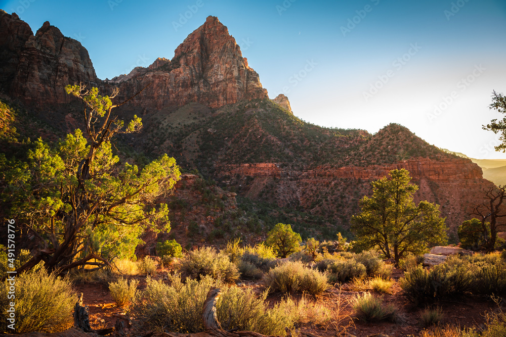 Sunset on the Watchman, Zion National Park, Utah