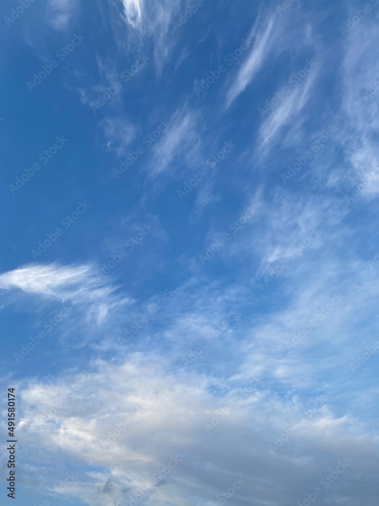 Fototapeta premium blue sky with clouds, ueno Tokyo March 9th, 2022