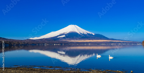 逆さ富士と白鳥 山中湖