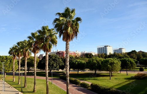 City park with gardens and palm trees in Valencia. Valencia Central Park on Turia River. Facade of a building. Residential buildings with windows and balconies. City architecture in central streets. © MaxSafaniuk