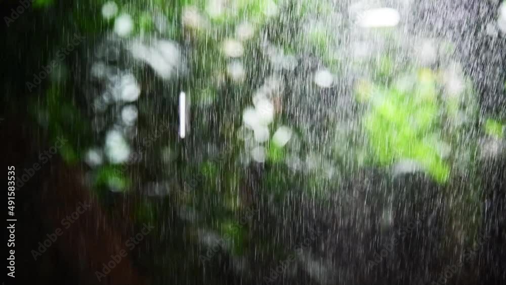 closeup footage of rain dropping green garden bokeh background