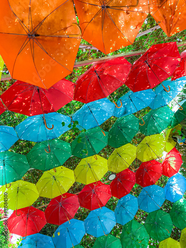Photography Umbrellas at The Miracle Garden in Dubai, UAE