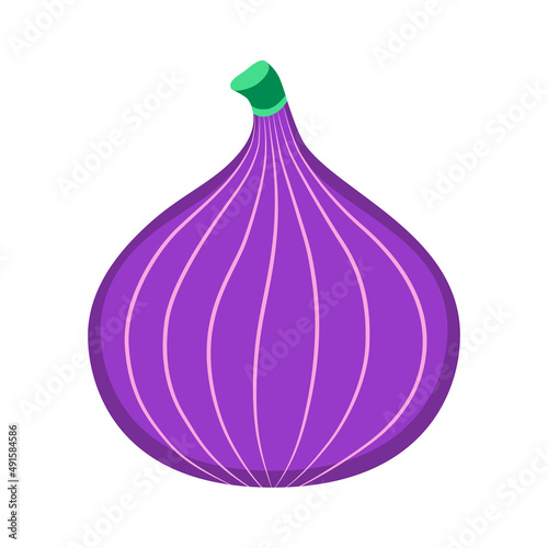 Fresh  fig  isolated on white background.