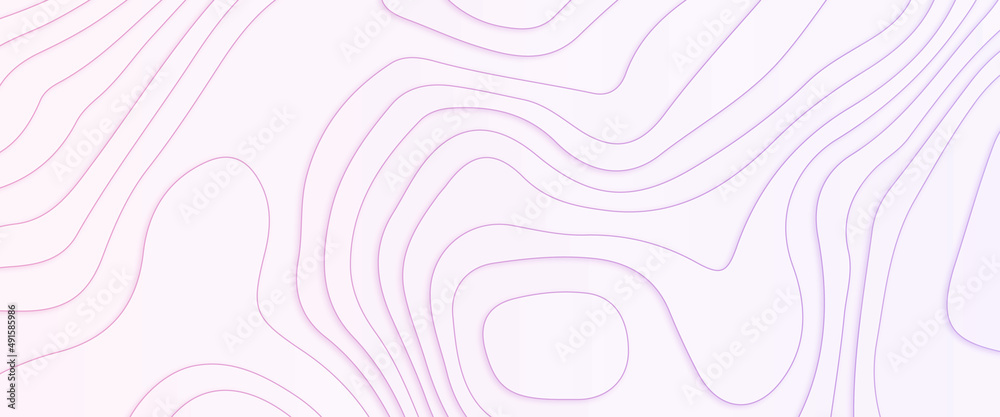Topography relief, map on land vector terrain Illustration, The concept of a conditional geography scheme and the terrain path.