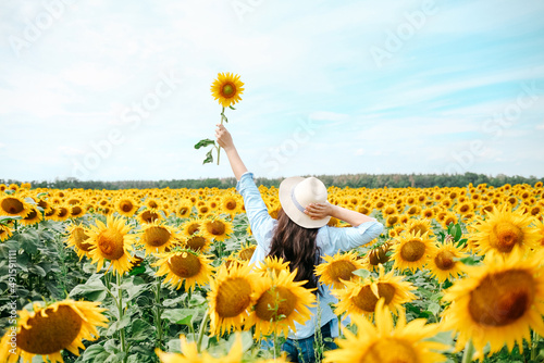 Young beautiful blonde woman standing in sunflower field.
 