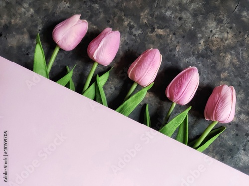 Fototapeta Naklejka Na Ścianę i Meble -  Pattern of pink tulips on black concrete background with copy space. Spring flatlay with copy space. Day of Earth.