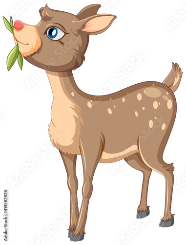 A cute deer on white background