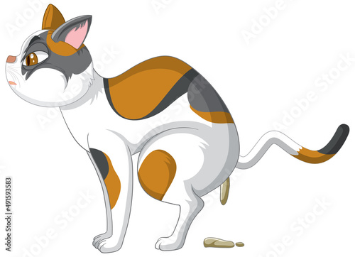 A cat poo on white background