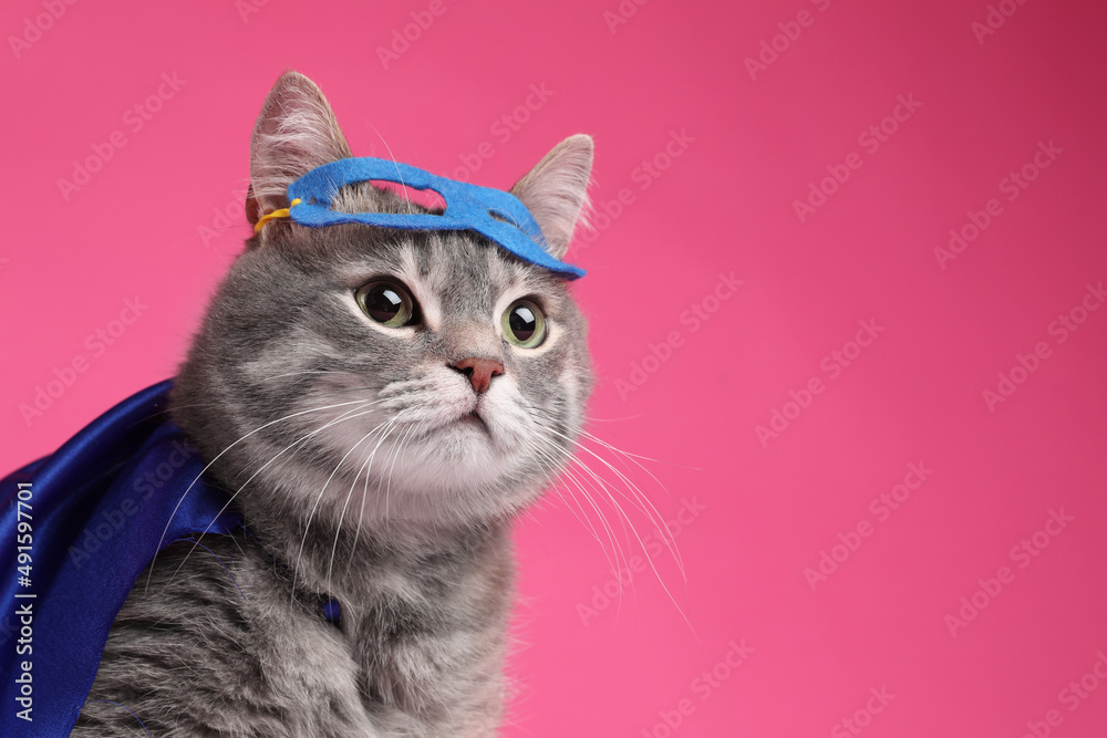 Adorable cat in blue superhero cape and mask on pink background, space for text