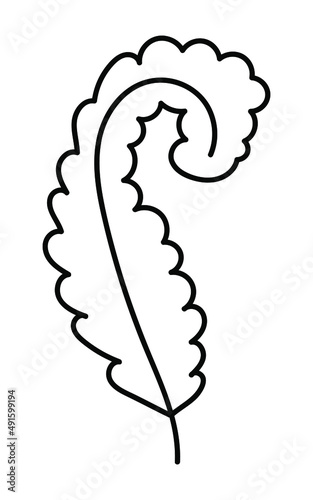 Seaweed set. Water grass. Freehand coloring book. Vector illustration isolated on white background