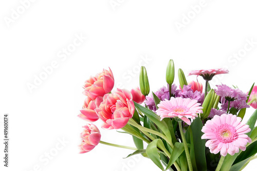 Composition with beautiful blooming Tulips and Barberton Daisy (Gerbera jamesonii) flowers on white background , pink colors