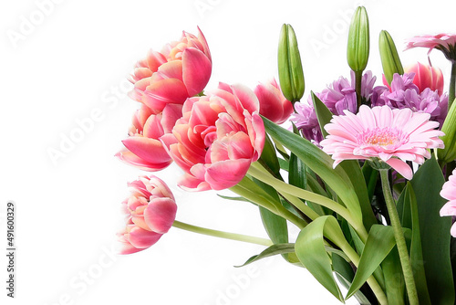 Composition with beautiful blooming Tulips and Barberton Daisy (Gerbera jamesonii) flowers on white background , pink colors