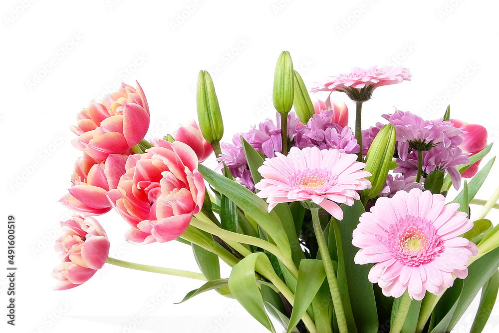Obraz premium Composition with beautiful blooming Tulips and Barberton Daisy (Gerbera jamesonii) flowers on white background , pink colors