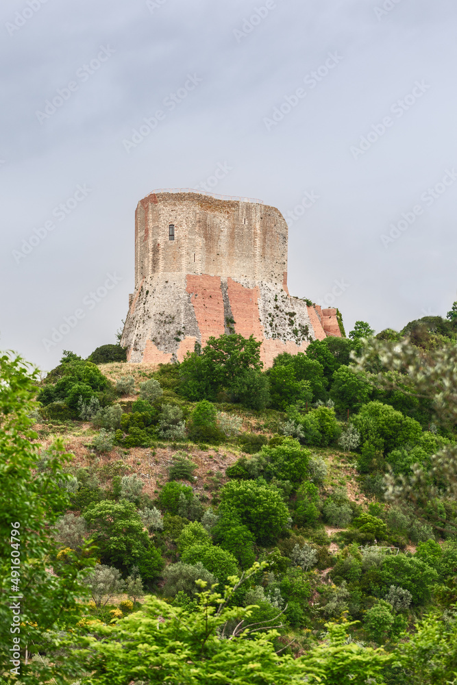 The fortress Rocca di Tentennano in local limestone with the typical structure of the castle. Tuscany, Italy 
