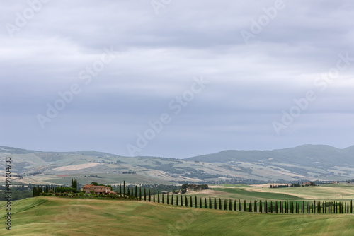 Postcard italian landscape with a long line of cypresses along the road leading to a farm. Tuscany, Italy