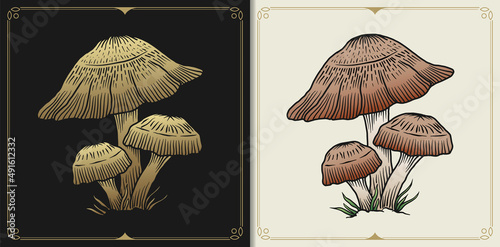 Mushroom with engraving, hand drawn, luxury, celestial, esoteric, boho style, fit for spiritualist, religious, paranormal, tarot reader, astrologer or tattoo
