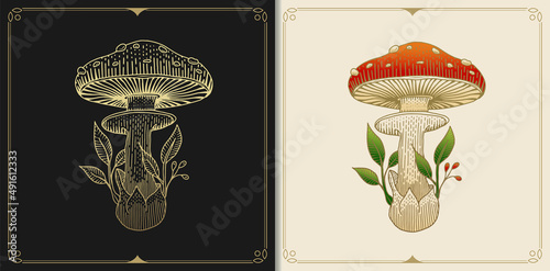 Mushroom or fungus Russula aurea with engraving, hand drawn, luxury, celestial, esoteric, boho style, fit for spiritualist, religious, paranormal, tarot reader, astrologer or tattoo photo