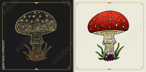 Mushroom or fungus with engraving, hand drawn, luxury, celestial, esoteric, boho style, fit for spiritualist, religious, paranormal, tarot reader, astrologer or tattoo