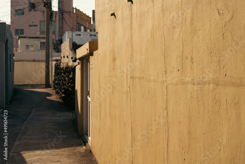 Alley, Jeju Olle Trail route 17 in Jeju island, Korea photo