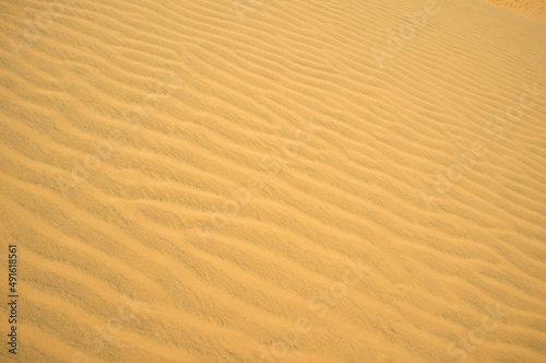 Wavy surface of sand dunes. Decoration concept. Summer background. Desert theme. Wind traces. Nature design. Picture for creative wallpaper or home art. Sand pattern. © Olivia Rich