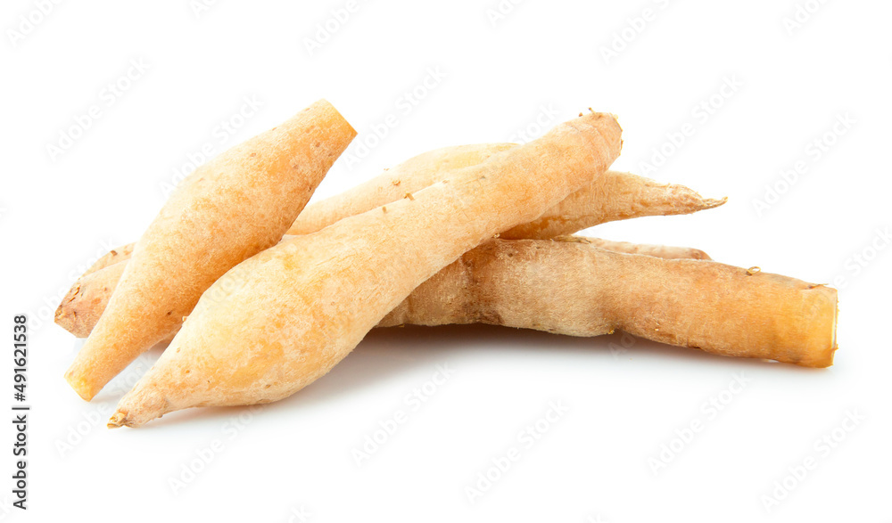 Kaempfer or krachar isolated on white background Kaempfer or krachar isolated on white background