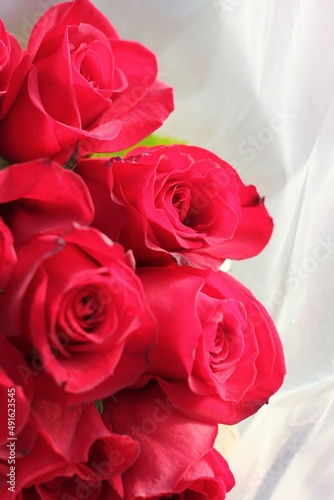 bouquet of red roses © Lina