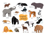 Tropical animals set. Predators and herbivores fauna vector animals isolated on white background. Flat cartoon illustration.