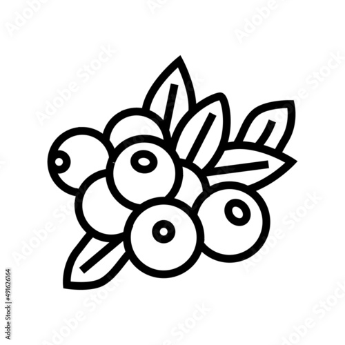cranberry berry line icon vector. cranberry berry sign. isolated contour symbol black illustration