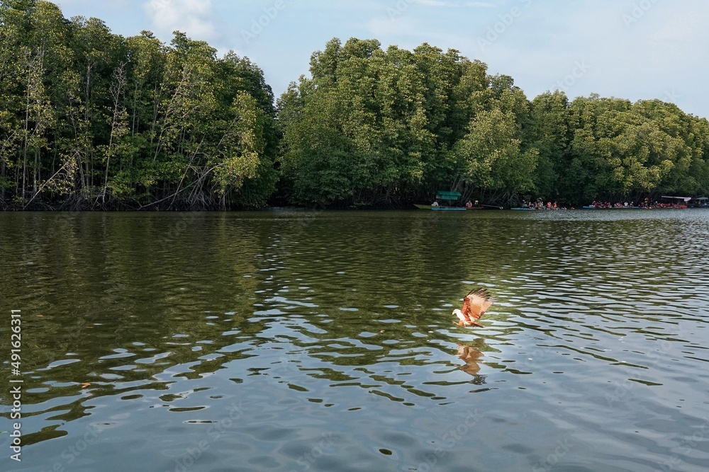 Fototapeta premium fishing in the lake