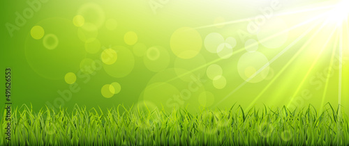 Morning spring banner, green grassy meadow with sunshine, blur and bokeh effect.