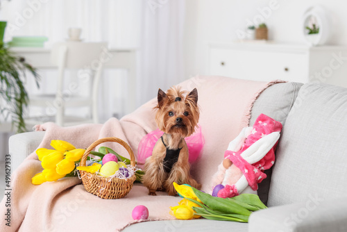 Cute small dog with Easter ...