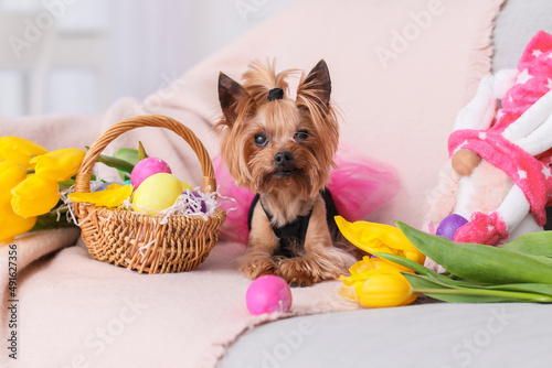 Cute small dog with Easter ...